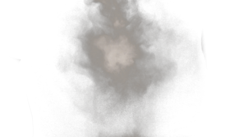 Dust Puff 5